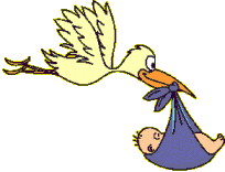 Cigogne